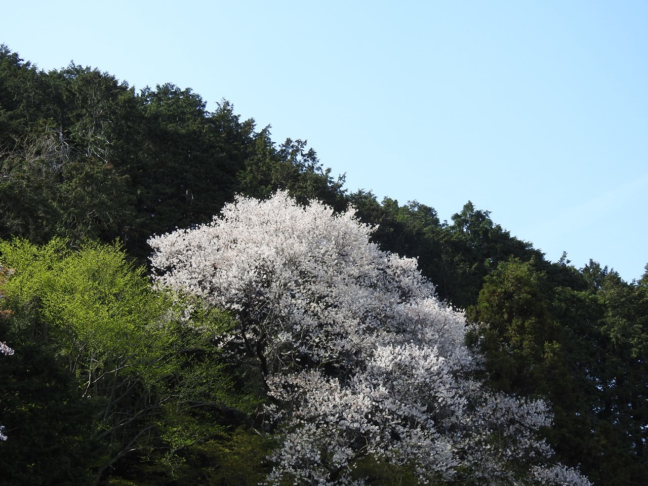 『霞間ヶ渓(かまがたに)の風景』_d0054276_20004072.jpg