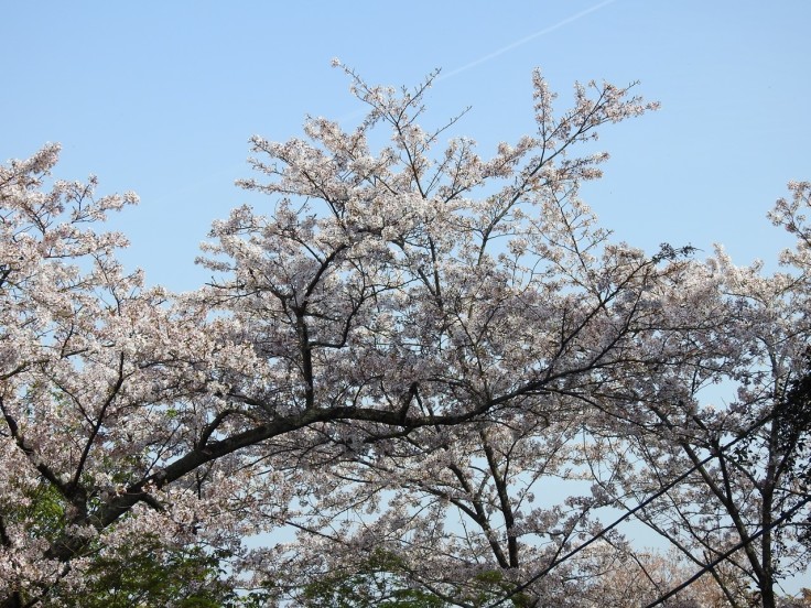 『霞間ヶ渓(かまがたに)の風景』_d0054276_20004682.jpg