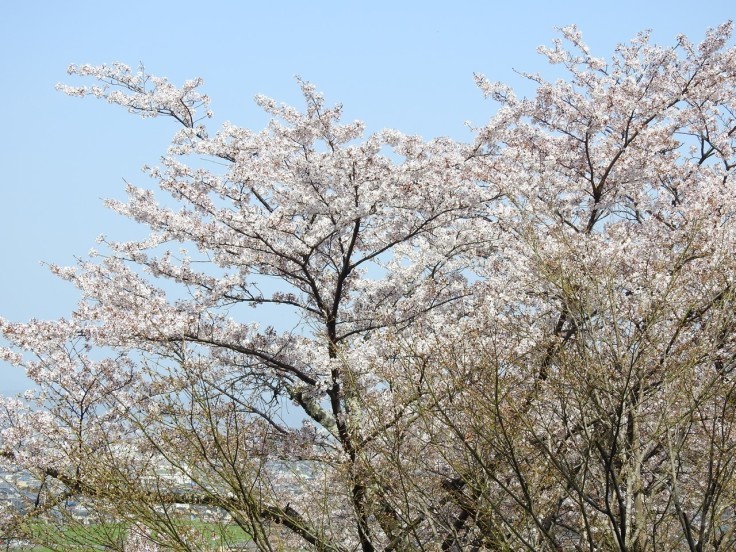 『霞間ヶ渓(かまがたに)の風景』_d0054276_20005563.jpg