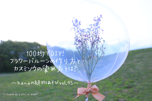 A Piece Of Dream 植物とdiyと