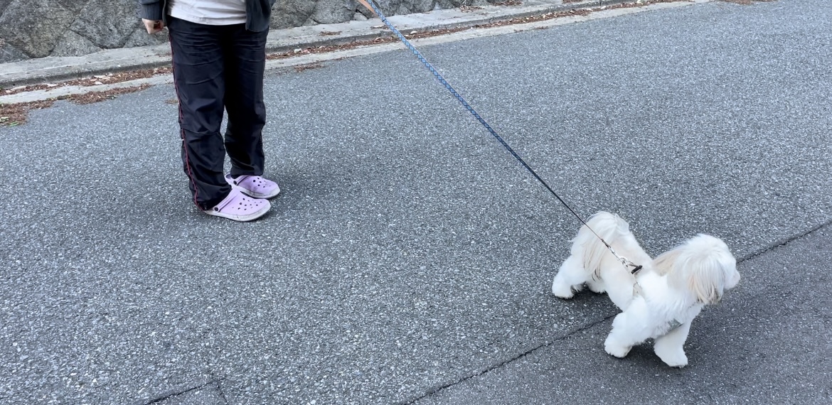 トレーニングブログ_f0357682_10290235.jpeg
