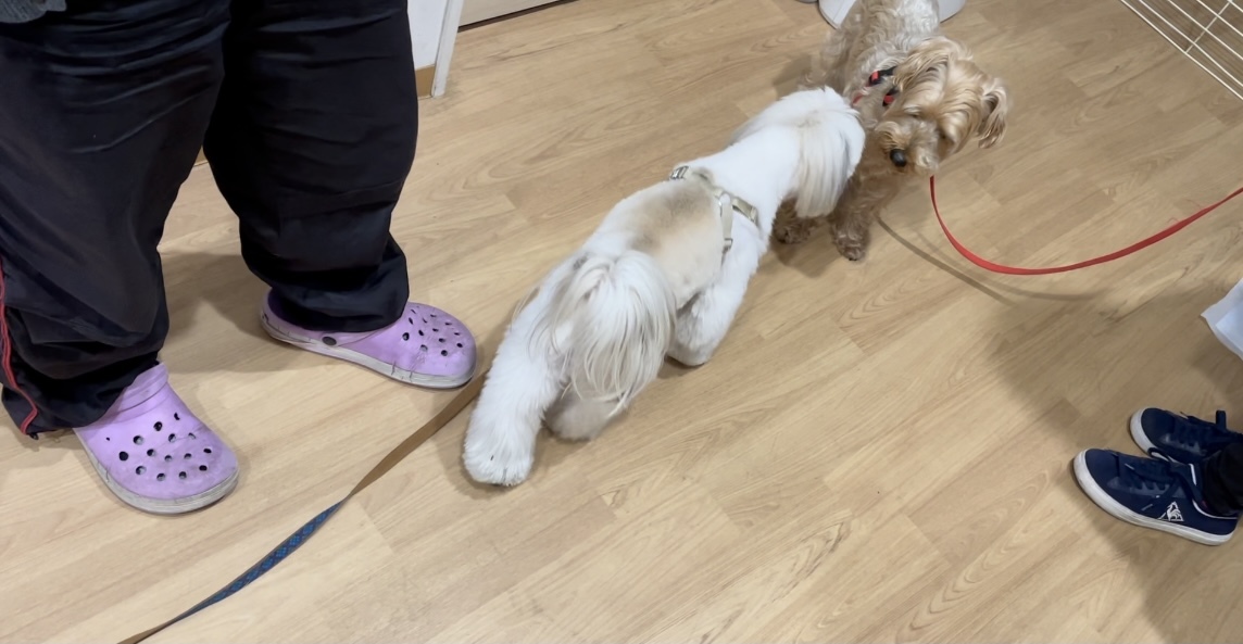 トレーニングブログ_f0357682_10333909.jpeg