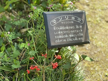 MITOSAYA 素敵な休日でした!_a0191183_19251387.jpeg