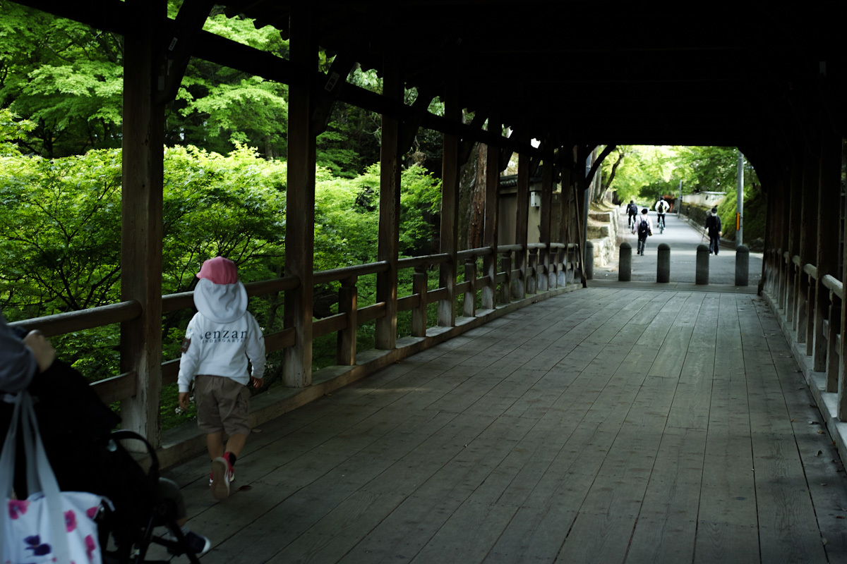 #京都　東福寺の青もみじ　　_c0059485_23230057.jpg