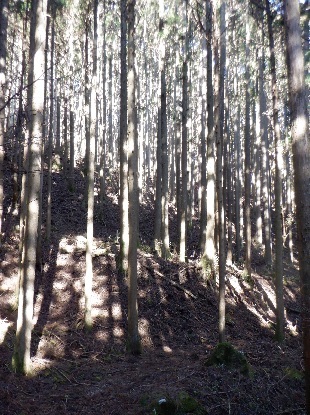 ササリビト_e0077899_20403904.jpg