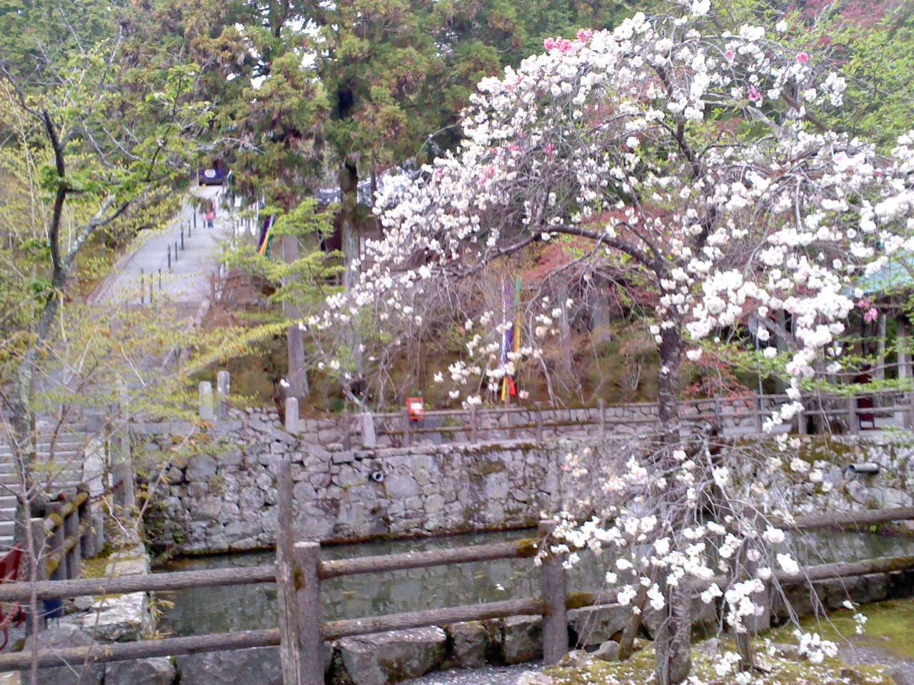 25番播州清水寺_b0109511_06365755.jpg