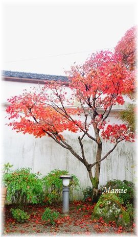 日田めぐり3_d0387712_16470133.jpg