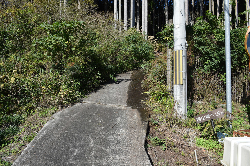 朽木城の詰城・西山城攻城記。 <前編> 登山口~南出曲輪~愛宕神社_e0158128_16255325.jpg
