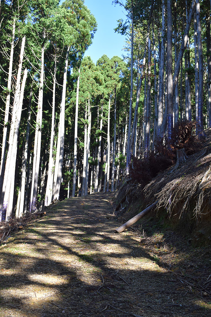 朽木城の詰城・西山城攻城記。 <前編> 登山口~南出曲輪~愛宕神社_e0158128_16291294.jpg