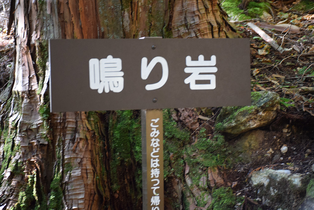 朽木城の詰城・西山城攻城記。 <前編> 登山口~南出曲輪~愛宕神社_e0158128_16461511.jpg