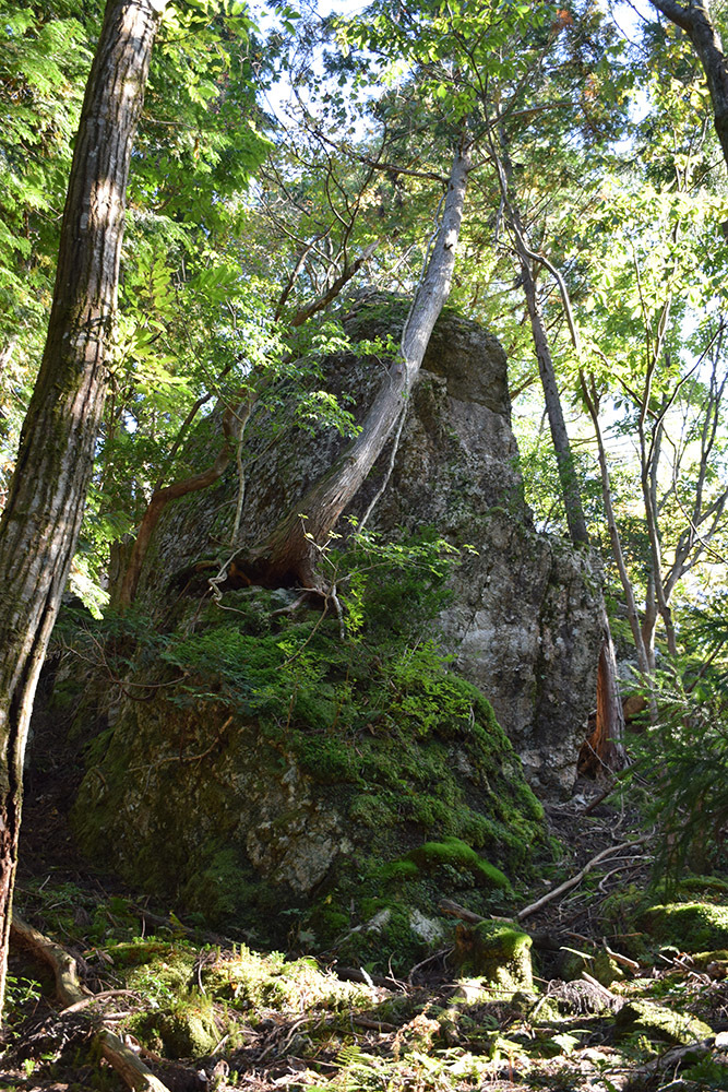 朽木城の詰城・西山城攻城記。 <前編> 登山口~南出曲輪~愛宕神社_e0158128_16503609.jpg