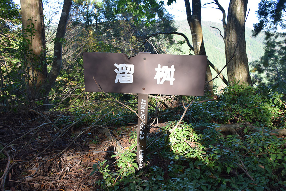 朽木城の詰城・西山城攻城記。 <後編> 主郭_e0158128_17140865.jpg