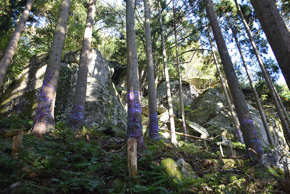 信長の隠れ岩_e0158128_17331479.jpg