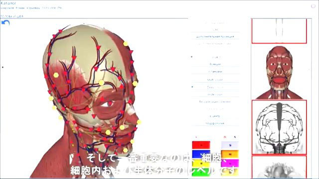 【Heavenese】NEW‼️NEW‼️『大破滅への道〜もう戻れないのか!』→俺「大天使メタトロンは、量子波動装置だった!?」_a0386130_08132705.jpg