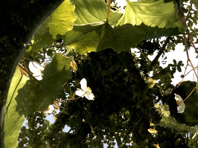 水に映る_d0101846_19223217.jpeg