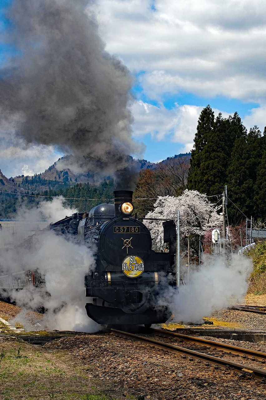 桜とＳＬ（津川駅）_e0096372_06362949.jpg