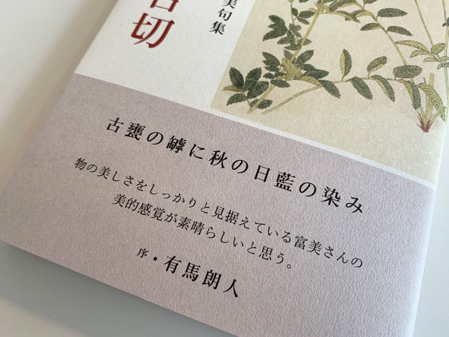 アイスを食べるのも人間が上等そうである ふらんす堂編集日記 By Yamaoka Kimiko アイスを食べるのも人間が上等そうである ふらんす堂編集日記 By Yamaoka Kimiko