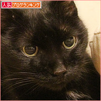 ヒナ、調子がいい日_a0389088_19402771.jpg