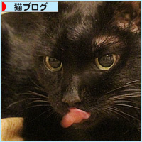ヒナ、調子がいい日_a0389088_19402781.jpg