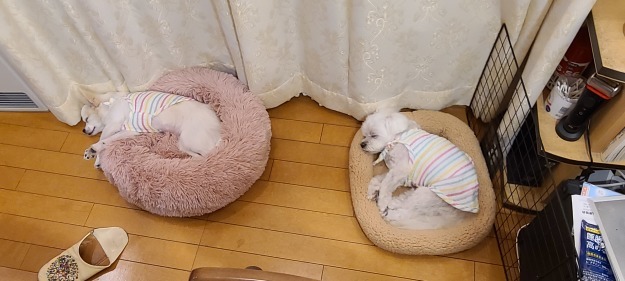 健康診断の季節です😆🎵🎵_e0119092_15384905.jpg