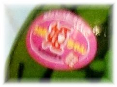 すいか_d0387712_20470540.jpg
