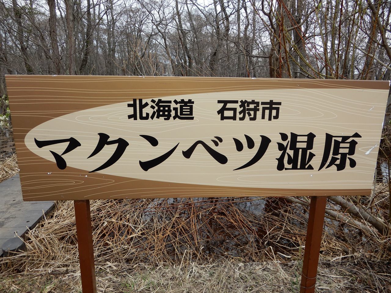 朝から好天だと思っていたら昼前から急激な気温低下と強風に_c0025115_21285332.jpg