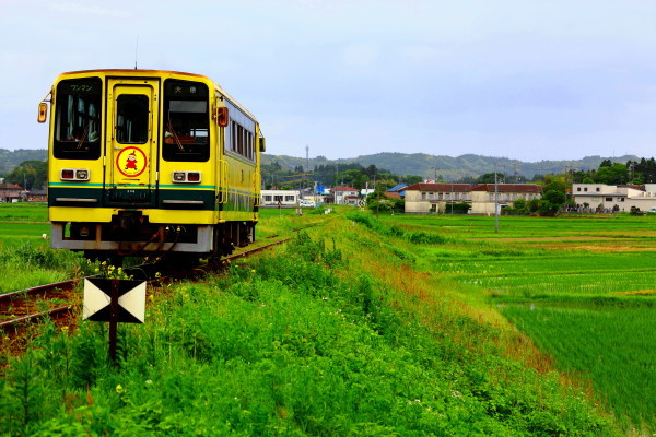 懐かしのいすみ鉄道200系_e0413122_01500384.jpg