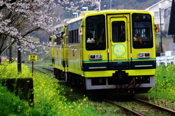 懐かしのいすみ鉄道200系_e0413122_02004769.jpg