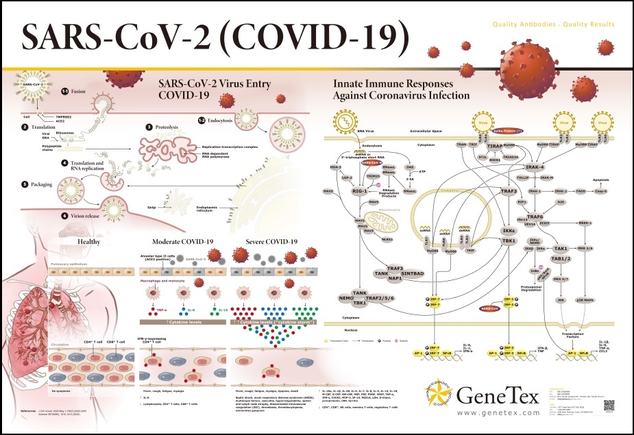 【COVID-19のすべて？】新型コロナのすべては出揃っていた！？→俺「無知は犯罪だ！」「バカは死んでも治らない！」_a0386130_07564730.jpg