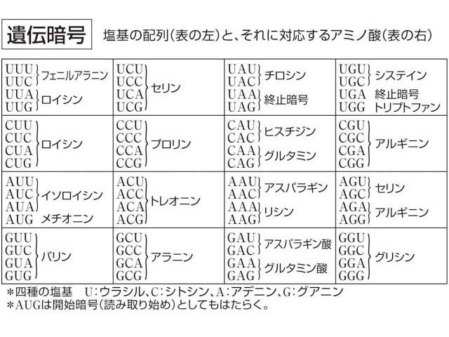 【COVID-19のすべて？】新型コロナのすべては出揃っていた！？→俺「無知は犯罪だ！」「バカは死んでも治らない！」_a0386130_08144069.jpg