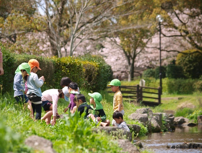 記憶の中の桜_c0281841_14213214.jpg