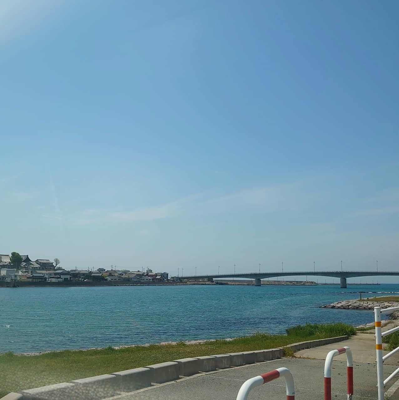 花盛り_a0164657_23122044.jpg