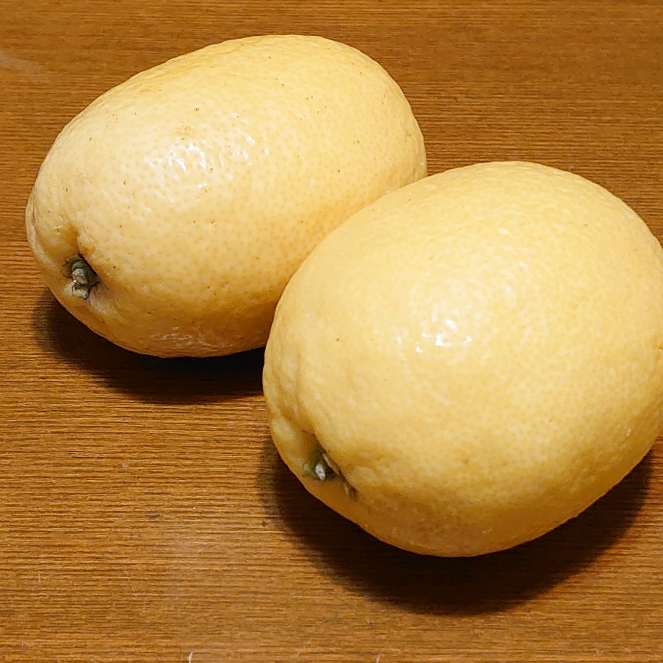 花盛り_a0164657_23320108.jpg