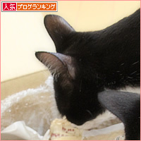 春の贈り物_a0389088_08312238.jpg