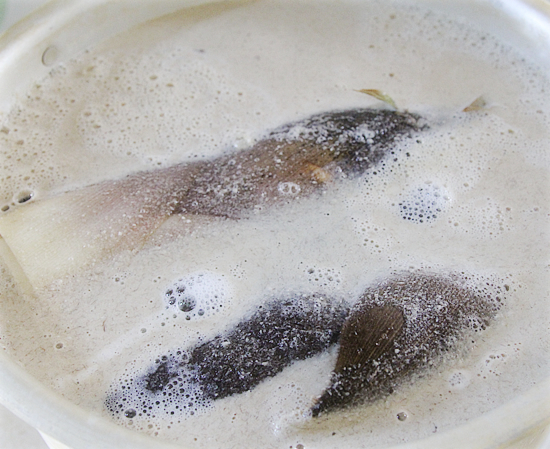 春の贈り物_a0389088_08312259.jpg