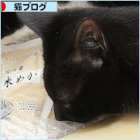 春の贈り物_a0389088_08312290.jpg