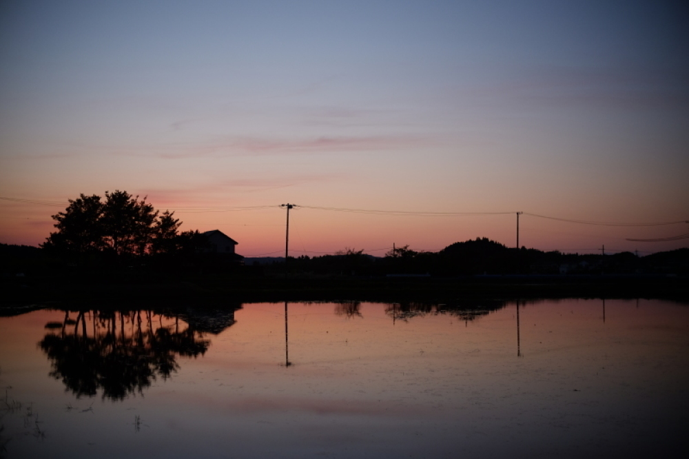 春の夕景_d0021491_16280700.jpg