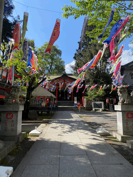 日曜は板橋区熊野町の熊野神社へ。こいのぼりを見に行ってきました。_d0122797_08582739.gif