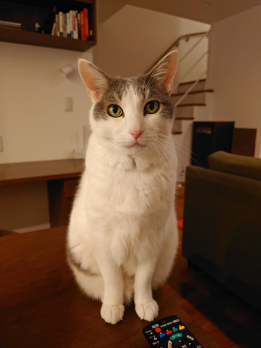 14歳_c0006312_19131543.jpg