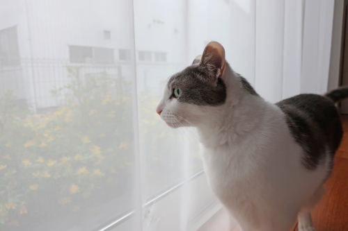 14歳_c0006312_19261411.jpg