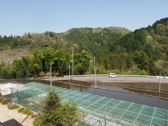 今日も快晴_c0116915_23221149.jpg