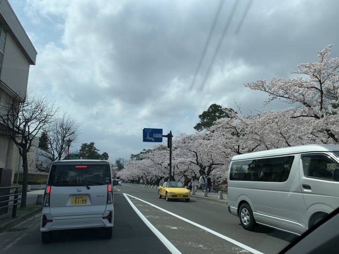 満開の弘前公園_b0150120_19350858.jpg