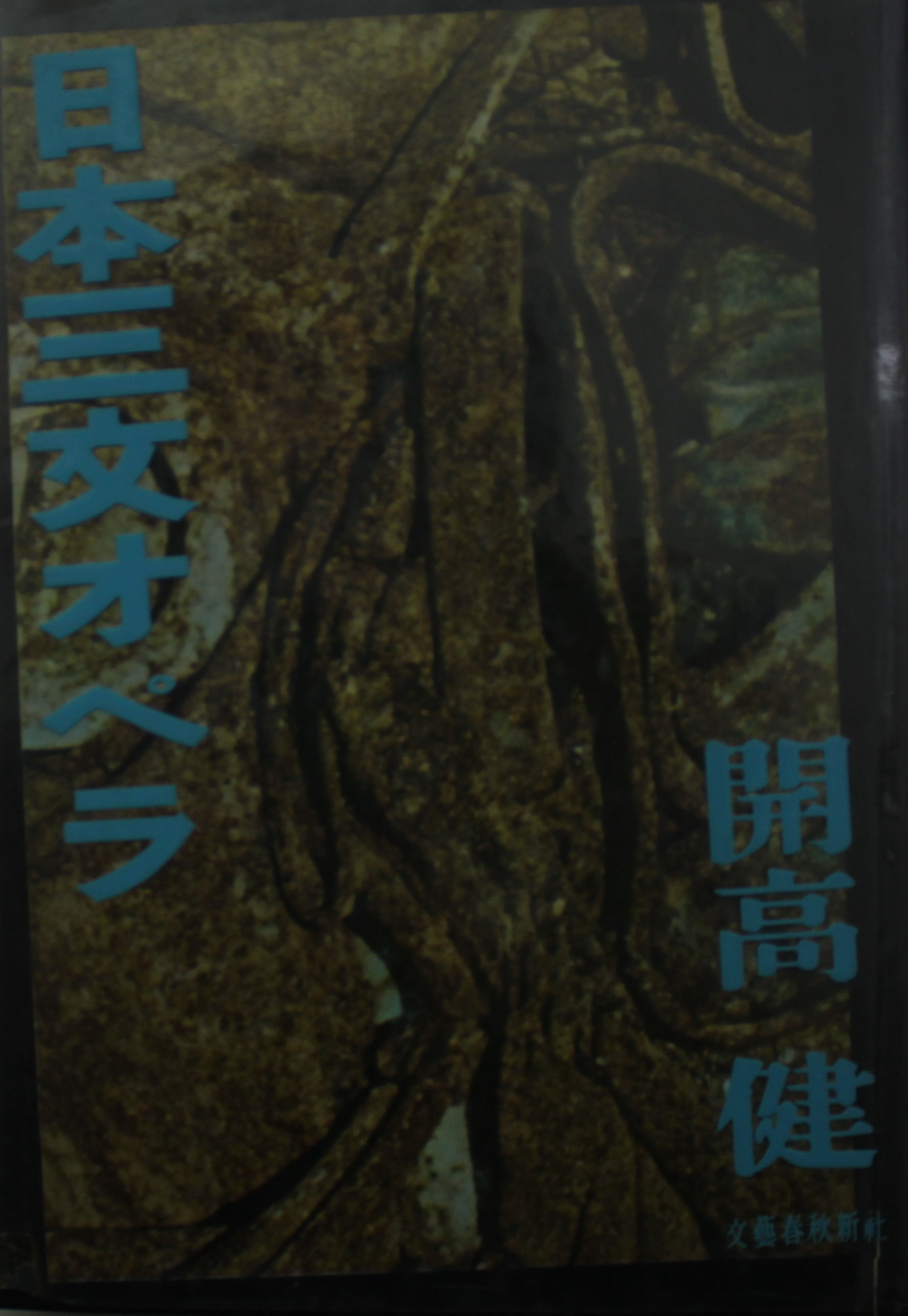 開高健 日本三文オペラ 昭和34初版 奈良の古本屋 智林堂店主のブログ 古書買取強化中