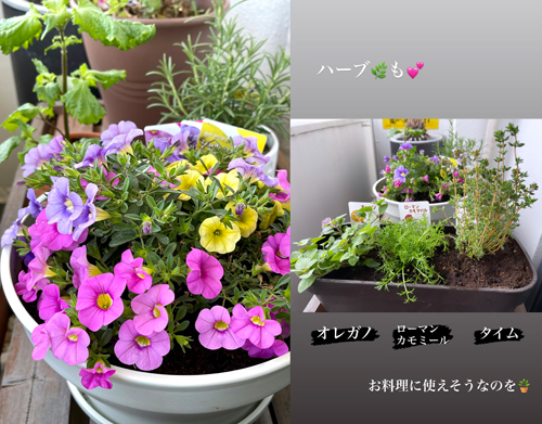 めんたいこのポテサラ_c0103827_14332182.jpg