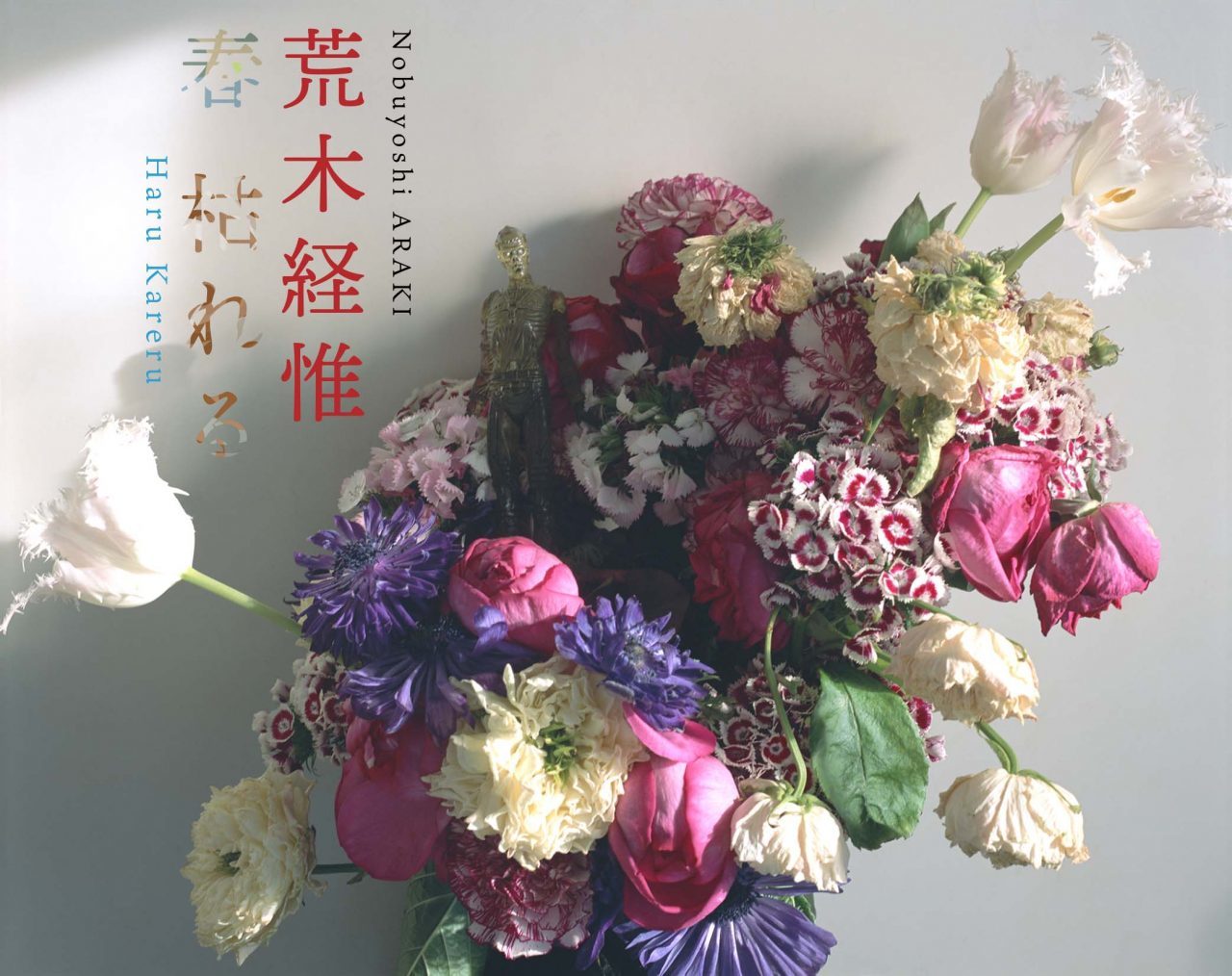 荒木経惟氏 展覧会「春枯れる」_b0187229_15285117.jpg