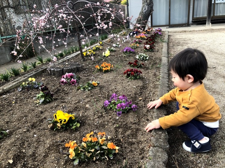 今、給食費無料化を問い直す…〈連載〉大田原の今を、これからを考える。 ~2021年度3月議会を終えて~ その⑧_b0063162_08254533.jpg