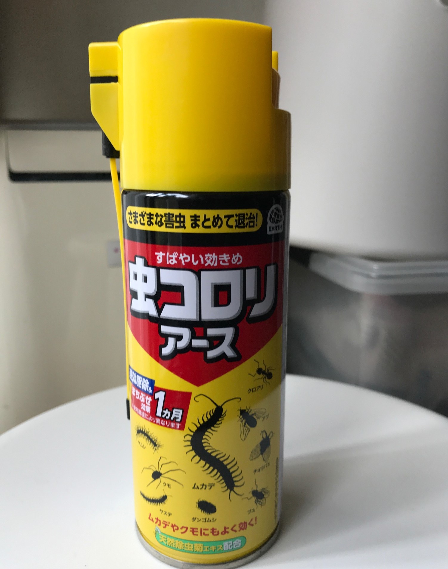 自宅ベランダに瀕死のオオスズメバチ飛来4・20_c0014967_07173206.jpg