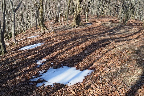 山笑う　　木梶山～赤ゾレ山_c0303868_04490116.jpg