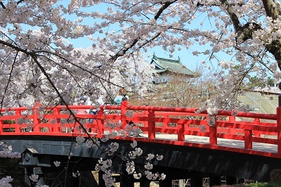 弘前公園桜_2021.04.21撮影_d0131668_18102286.jpg