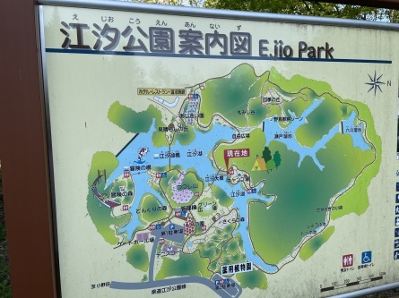 4/21 店長日記_e0173381_17590950.jpg